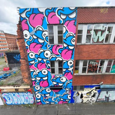HTN Belfast Seedheadarts NOL Nolart streetart graffiti mural character design happy